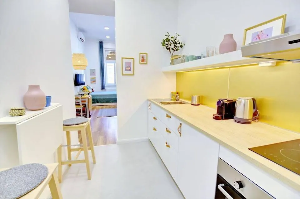 公寓 Pau Stylish Studios In The Heart Of 布达佩斯 匈牙利